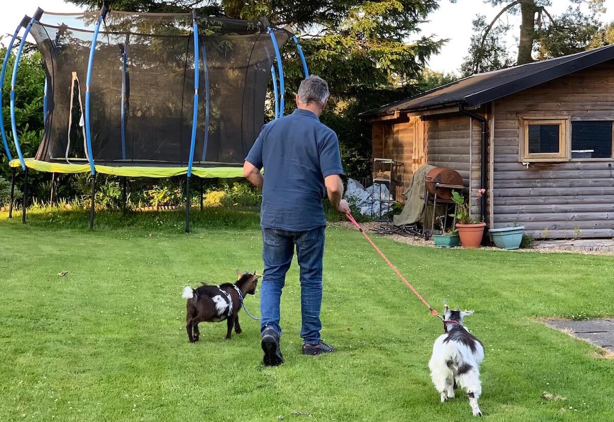 House Pet Sitting Our House Sitting Journey