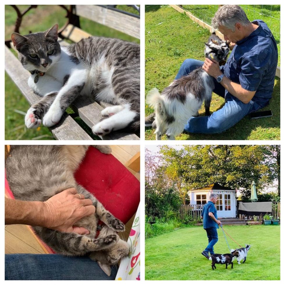 House & Pet Sitting Our House Sitting Journey