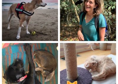 A few of our animal friends around the world: Sitges, Spain; Ghana; Pennsylvania, USA; Cornwall, UK