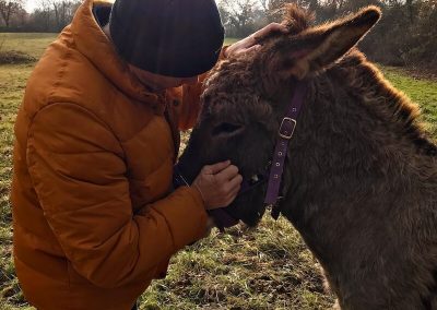 Monty is such a sweet donkey, Belâbre, France