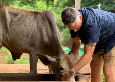 Having a wee cuddle with and Indian bull, Haripuram, Andhra Pradesh, India